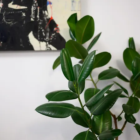 King Mindaugas Center דירה קובנה