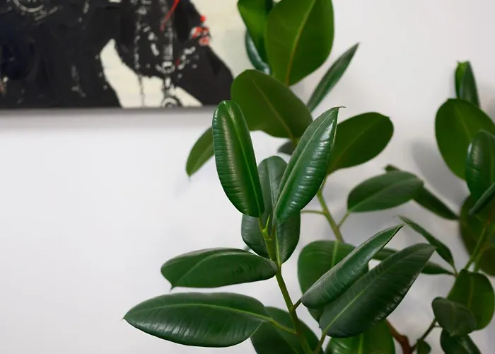 King Mindaugas Center Appartement Kaunas